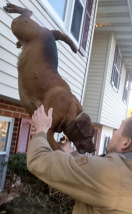 Dog Leaps From Second Story of Burning House