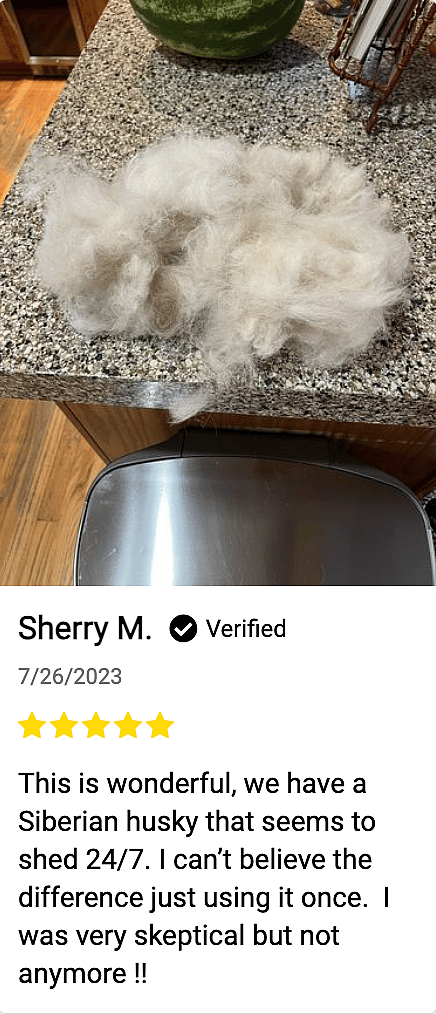 Dog Vacuum Review