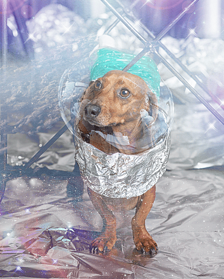 Video Game Dog Names