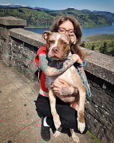 Catahoula leopard dog Pitbull Mix