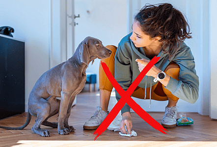 Don't blame your dog