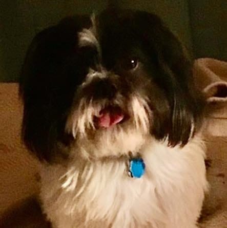 Nugget