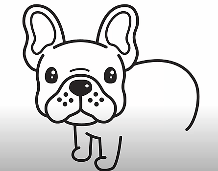 How to Draw a Bulldog Easy
