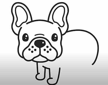 How to Draw a Bulldog Easy