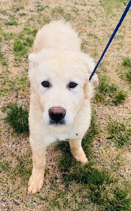 SPONSOR ME - Patrick