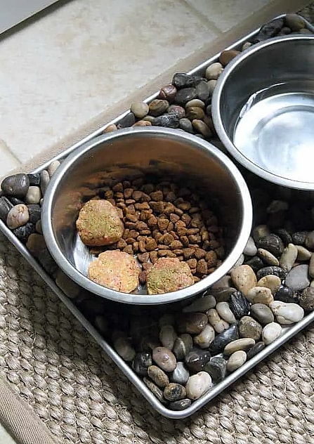 Easy Recipes for Homemade Dog Food