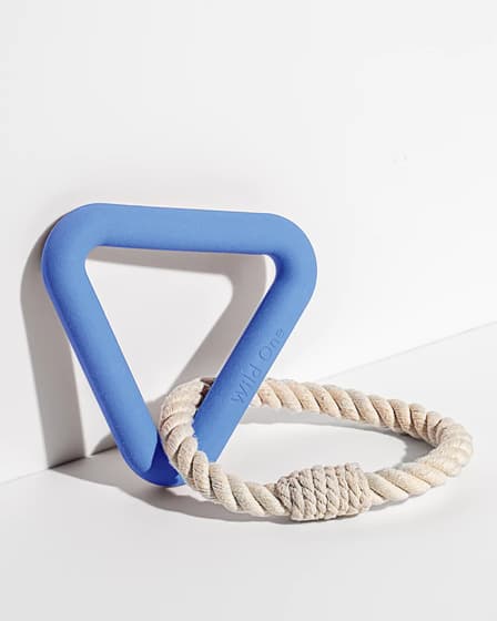 Best Toys to Keep Your French Bulldog Entertained