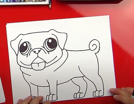 Learn How To Draw A Pug