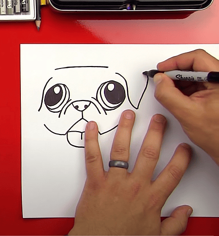 Learn How To Draw A Pug