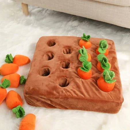 Best Toys to Keep Your French Bulldog Entertained