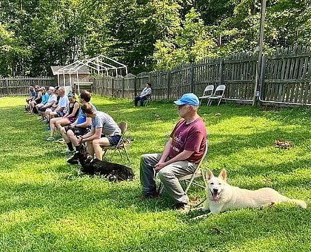 Heartbroken Shepherd Seeks Second Chance After Tragic Loss