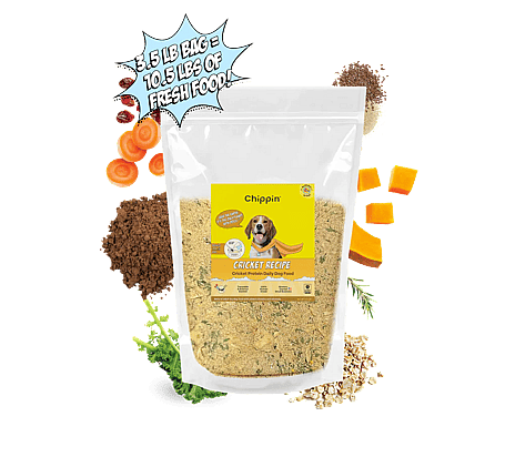 Novel Proteins for Dogs