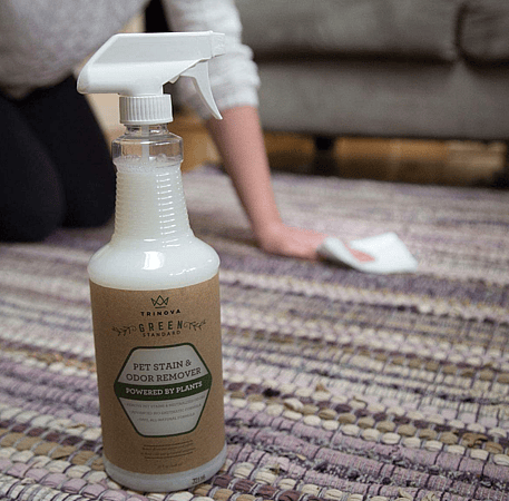 Enzyme Cleaner For Dog Urine