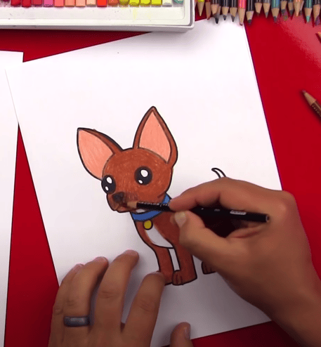 Drawing A Chihuahua