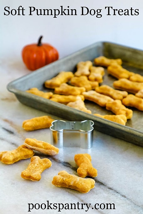 Homemade Pumpkin Dog Treats
