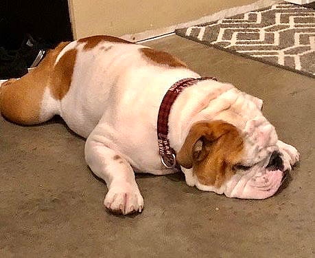 Winston - That face!