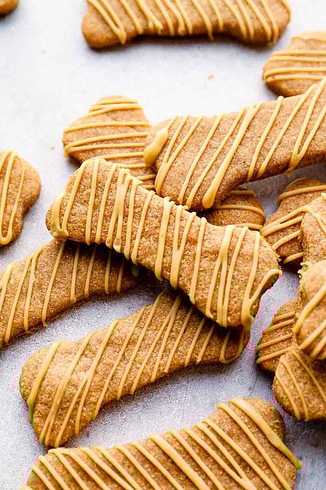 Homemade Pumpkin Dog Treats