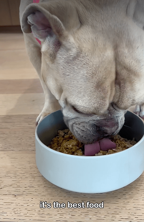 The One - Game Changing Supplement