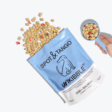 Best Salmon Dog Foods