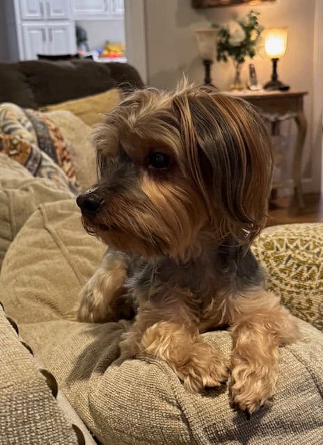 NALA BELLE