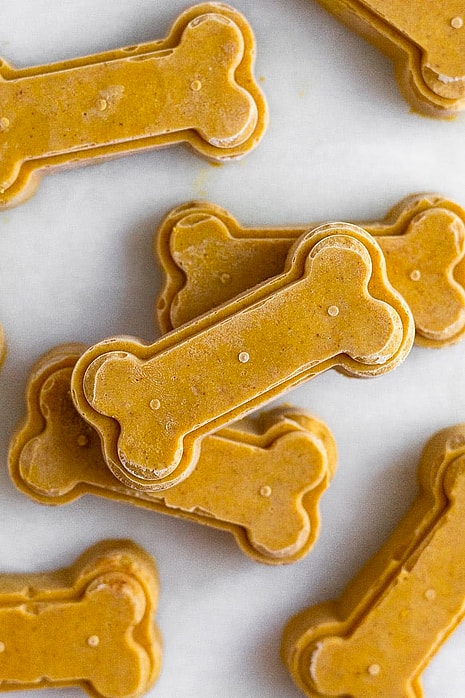 Homemade Pumpkin Dog Treats