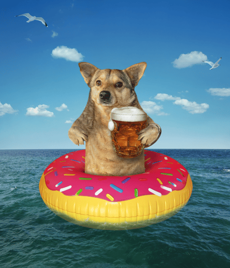 Beer Names for Dogs