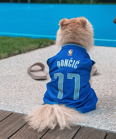Dallas Mavericks Basketball Dog Names