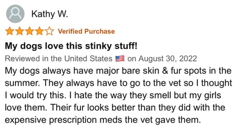 The Best Dog Supplements for Skin & Coat Available on Amazon - Review