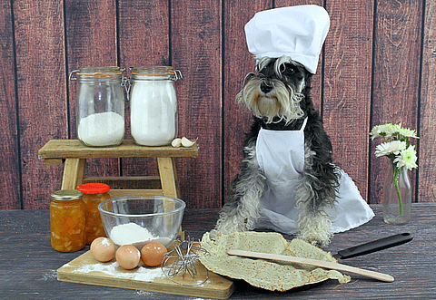 doggy pancake chef