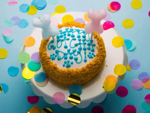 Dog Cake