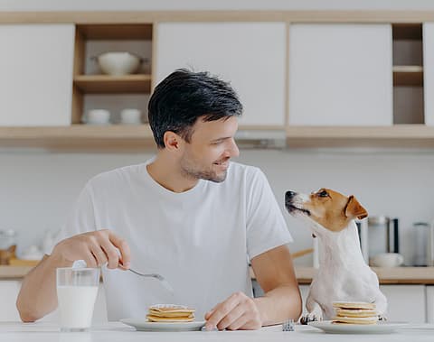 man&dog having pancakes