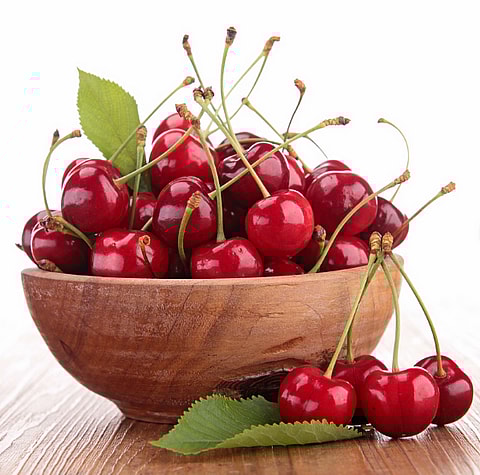 can dogs eat cherries?