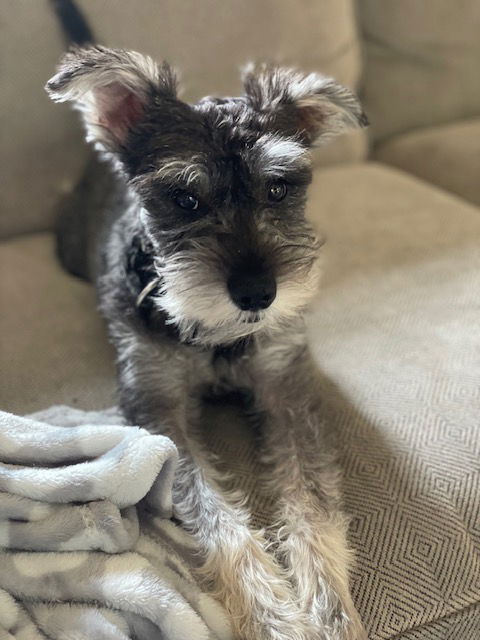 MURPHY (SRC#3020) IN NORTH CAROLINA