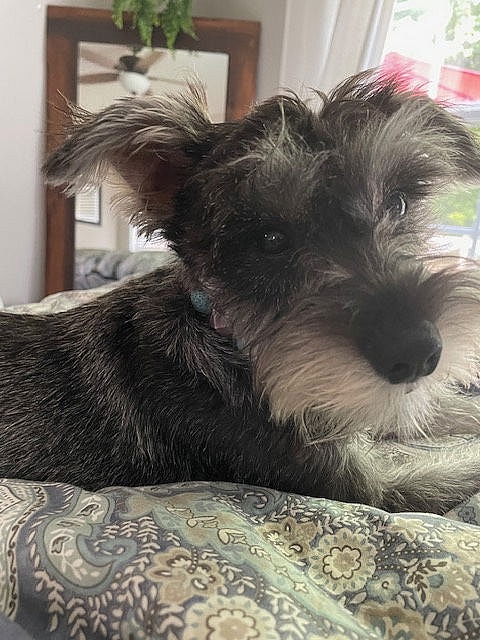 MURPHY (SRC#3020) IN NORTH CAROLINA