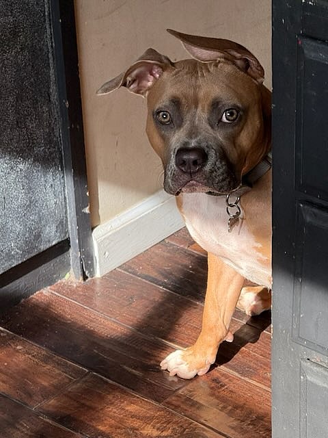 Meet Marvelous Maggie! 