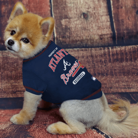 hocky dog names