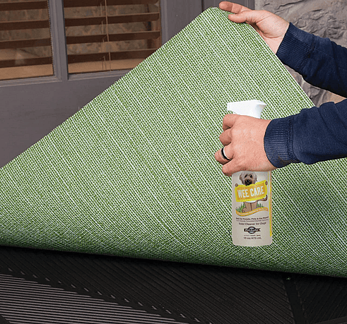 Enzyme Cleaner For Dog Urine