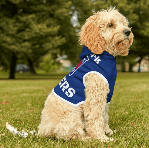 Hockey dog names