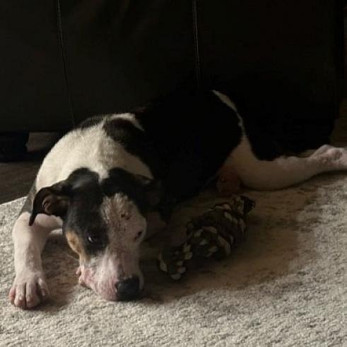 Maggie