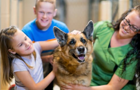 adopting a shelter dog
