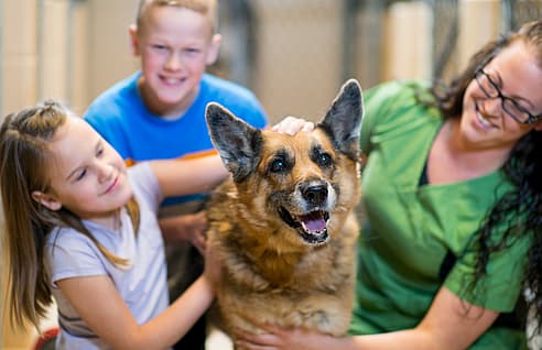 adopting a shelter dog