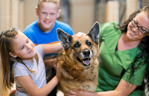 adopting a shelter dog 