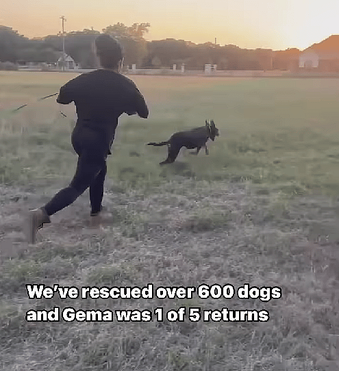 Anxiety-Riddled Dog's Last Chance Becomes a FAIRYTALE Ending!