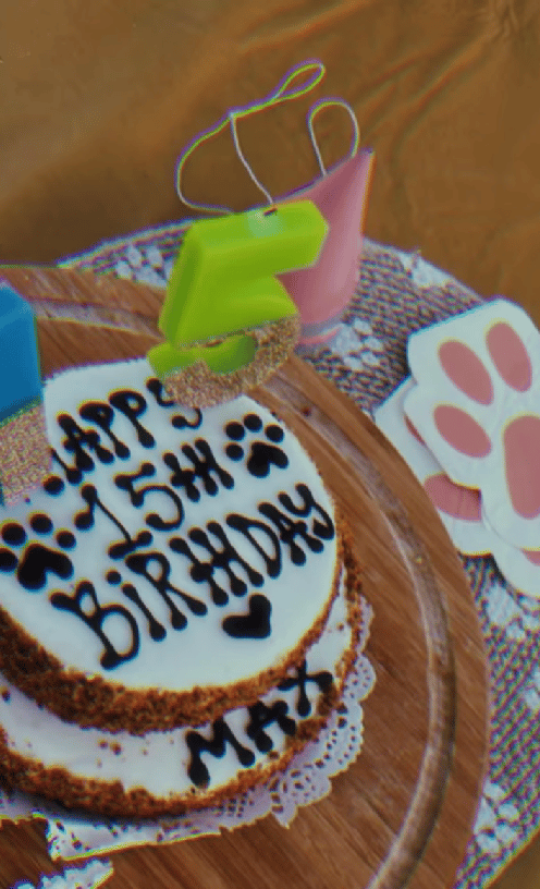 This Dog Quinceañera Will Make Your Heart Melt—Wait Until You See the Cake!