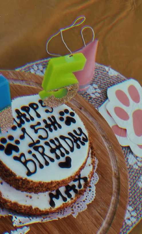 This Dog Quinceañera Will Make Your Heart Melt—Wait Until You See the Cake!