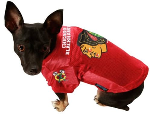 hockey dog names