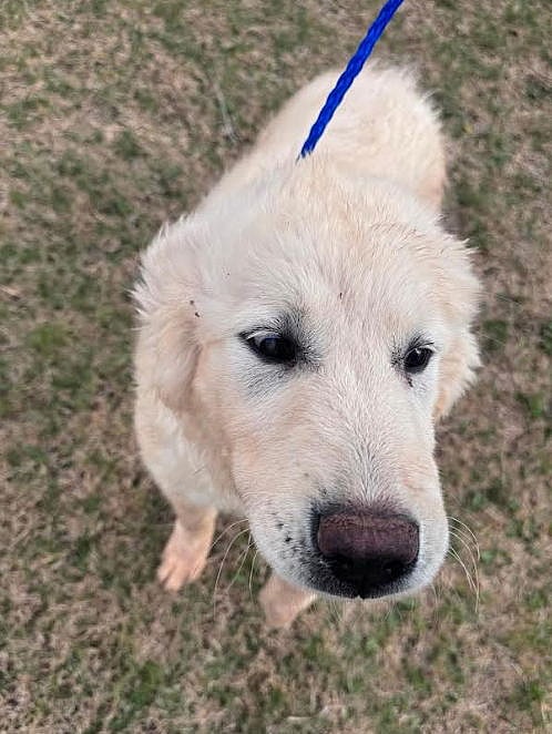 SPONSOR ME - Patrick