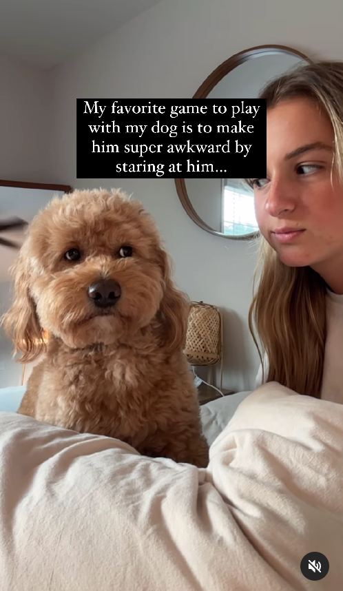 Experts Warn: This Popular Dog Game Could Be Damaging Your Relationship