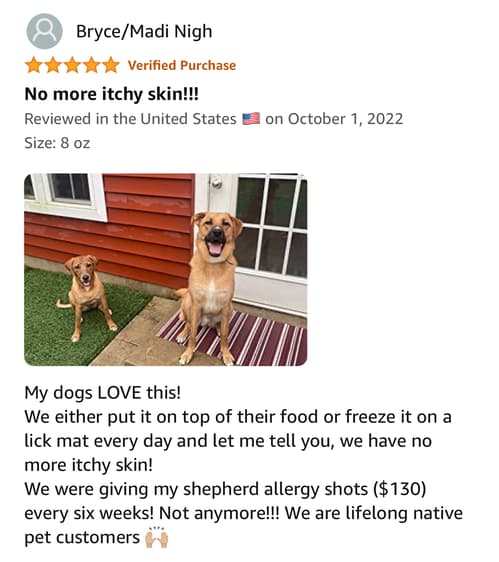The Best Dog Supplements for Skin & Coat Available on Amazon - Review