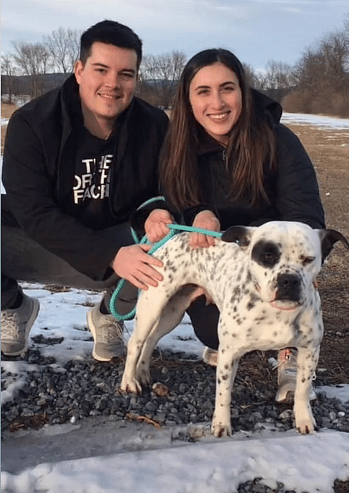 Puppy Mill Dog adopted